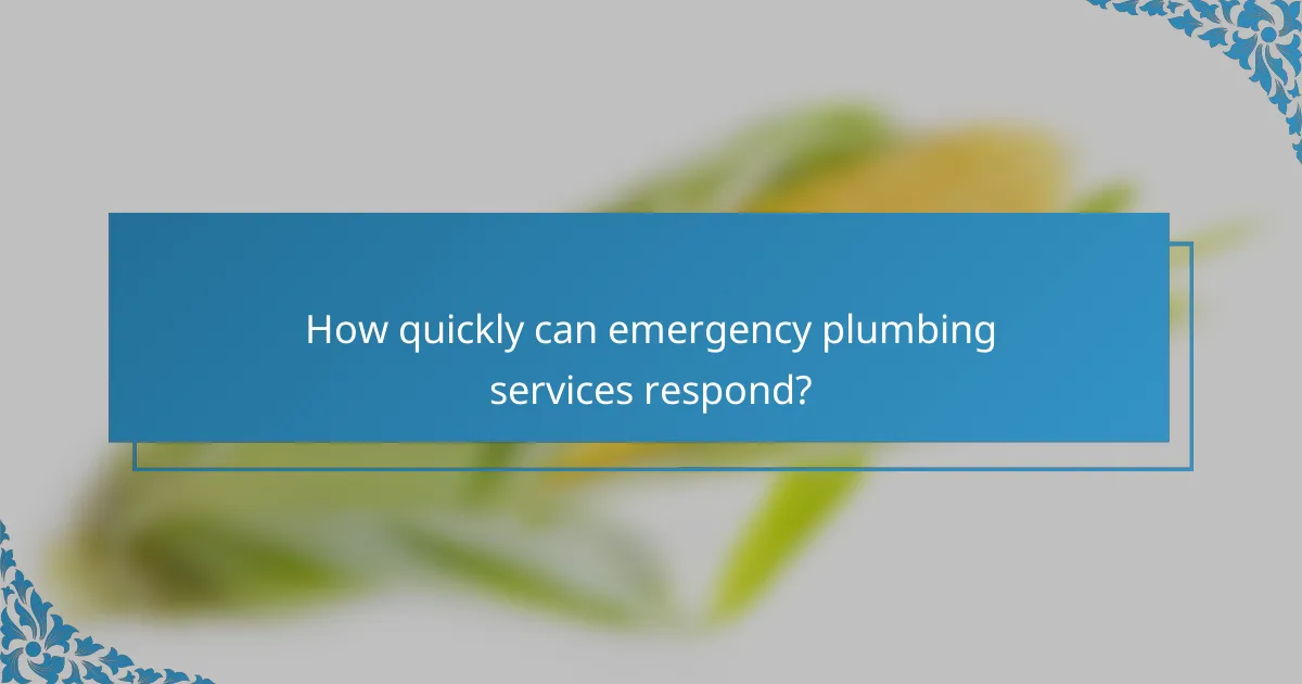 How quickly can emergency plumbing services respond?