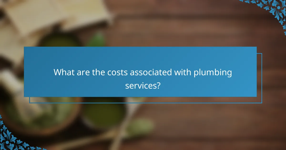 What are the costs associated with plumbing services?