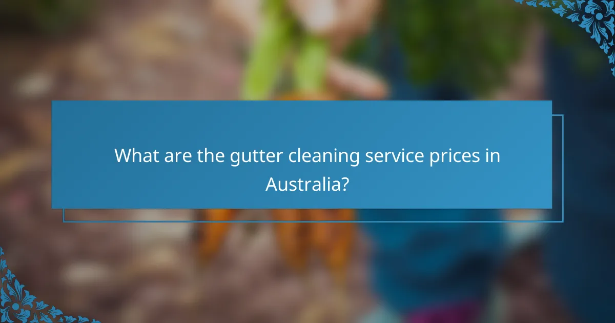 What are the gutter cleaning service prices in Australia?