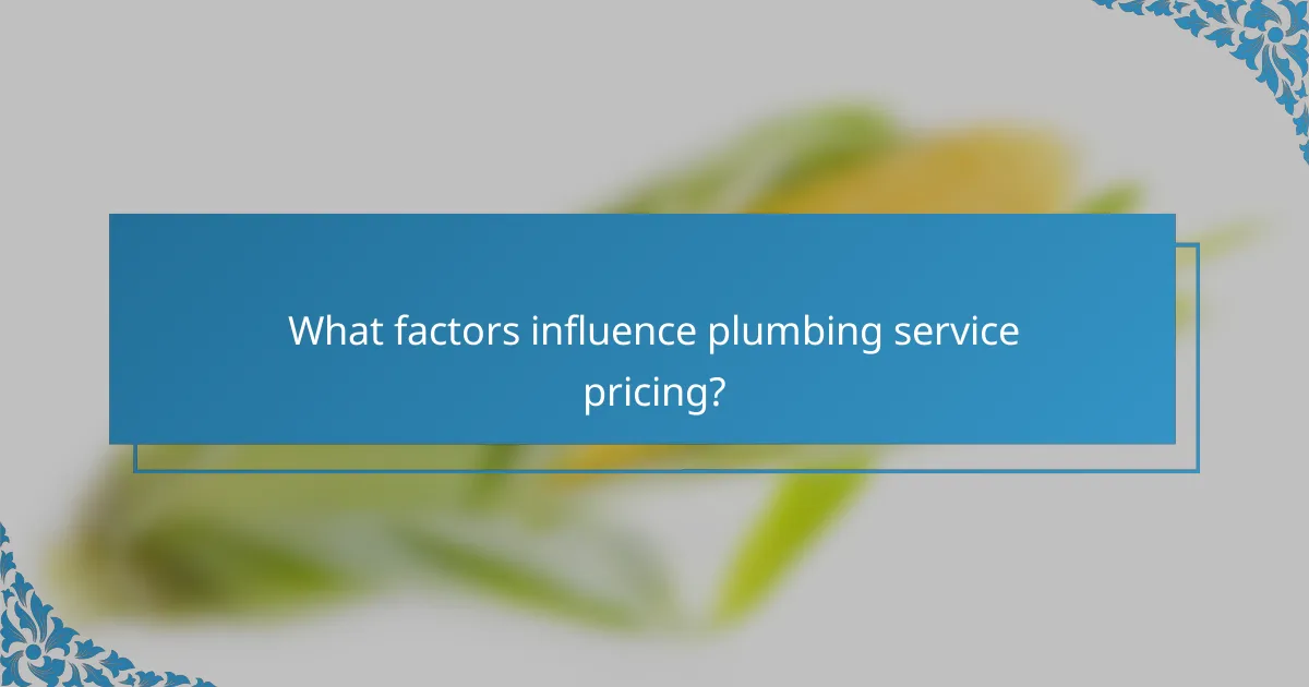 What factors influence plumbing service pricing?