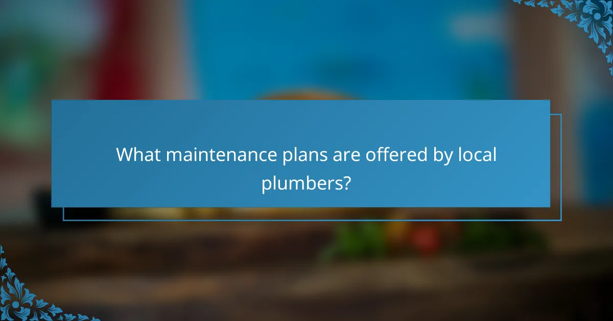 What maintenance plans are offered by local plumbers?